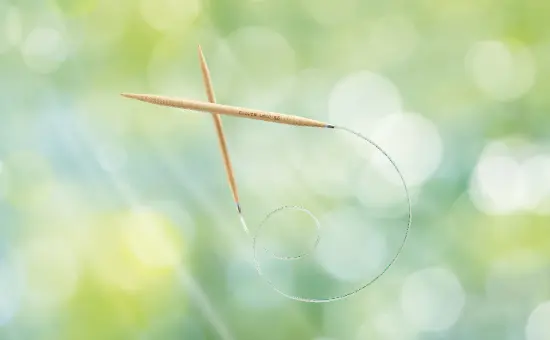 Circular Knitting Needles PRO «Takumi®»